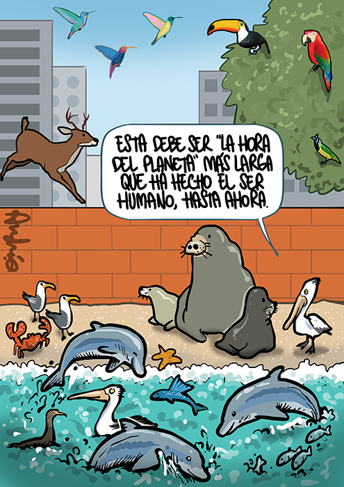 Cartoon in Spanish showing several animals discussing  how humans have left the planet alone