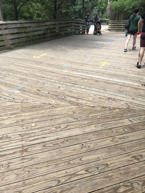 Photo of the ground with arrows directing foot traffic. 