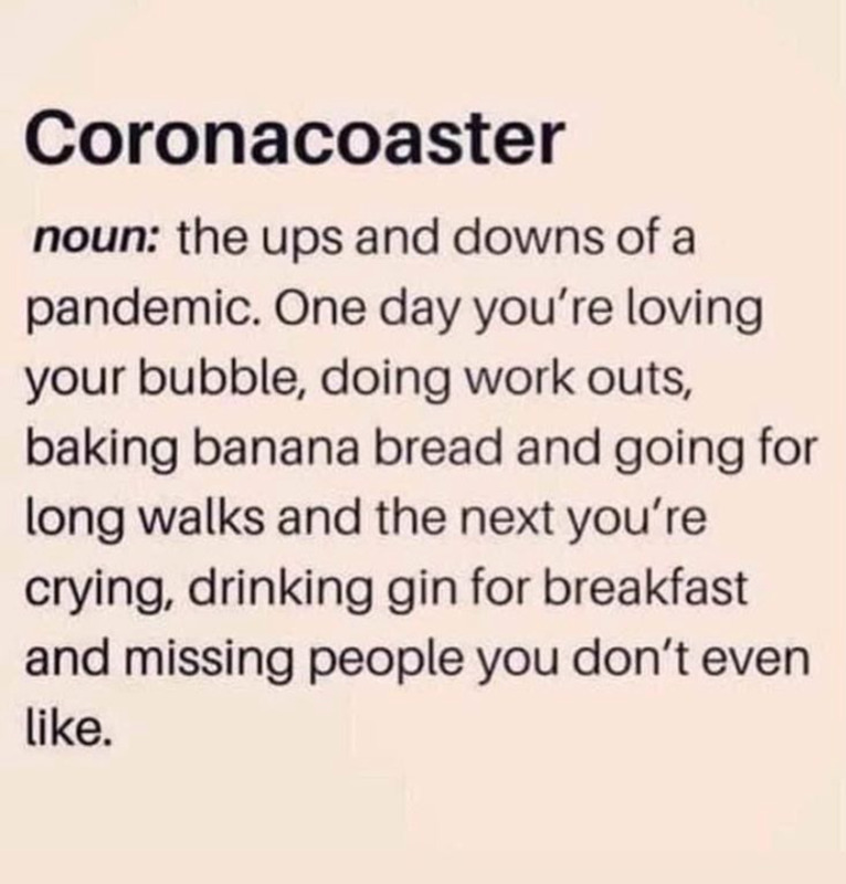 A graphic depicting a dictionary style definition for Coronacoaster reading noun: the ups and downs of a pandemic. One day you're loving your bubble, doing workouts, baking banana bread, and going for long walks. And the next, you're crying, drinking gin for breakfast and missing people you don't even like. 