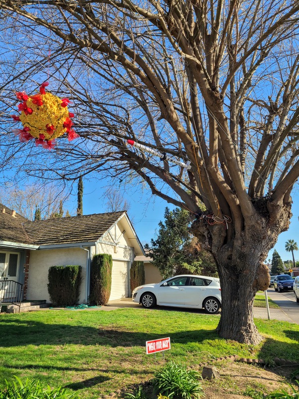 This is a picture taken of a person's front yard, in which a sign is planted that says "wear your mask". An image of a COVID-19 particle has been hung from a tree next to the drive way. 