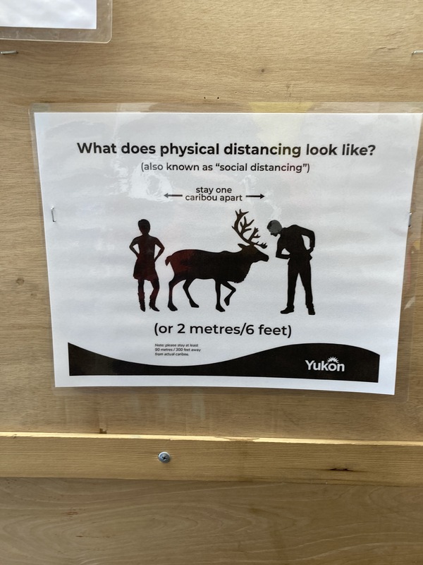 This is a picture of a sign which reads: "What does physical distancing look like? (also known as 'social distancing') Stay one caribou apart (or 2 meters/six feet). A visual representation shows two people on either side of a caribou.