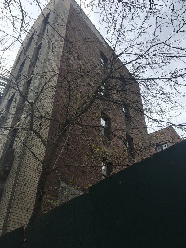 A tree in front of a brick building.