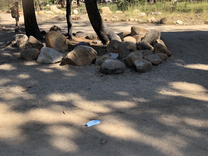 This is a picture of a face mask that has been discarded on a dirt path outdoors.  