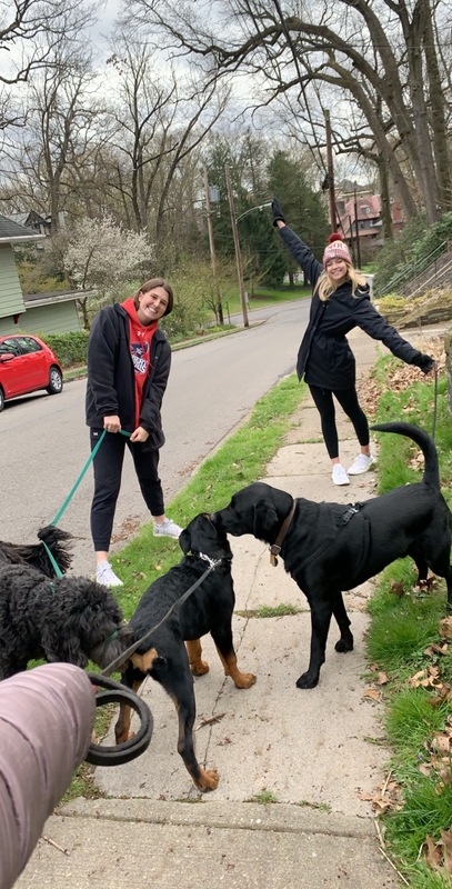 Two young women in coats and hats, holding leashes with four dogs who greet each other.