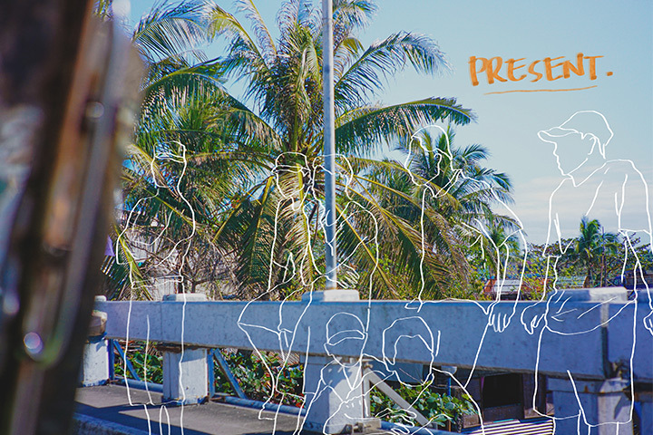 The silhouettes of seven men are outlined on a barrier on the side of the road in front of a palm tree. 