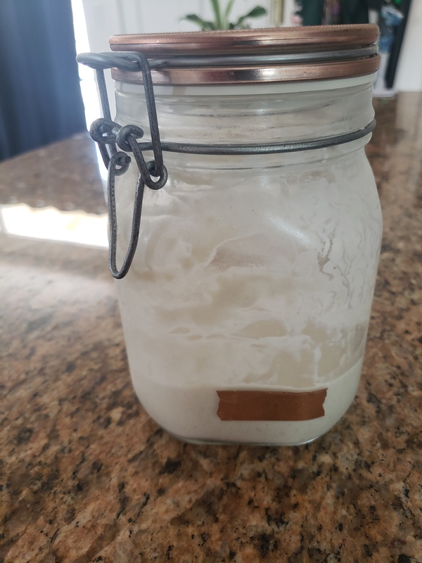 Photo of a sour dough bread starter. 