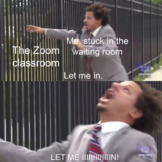 Meme of man holding onto a fence.  Text reads: "The Zoom classroom. Me, stuck in the waiting room.  Let me in. LET ME IIIIIIIIIN!"