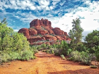 This is a picture of a desert landscape with a mountain in the background made up of vividly red rocks.