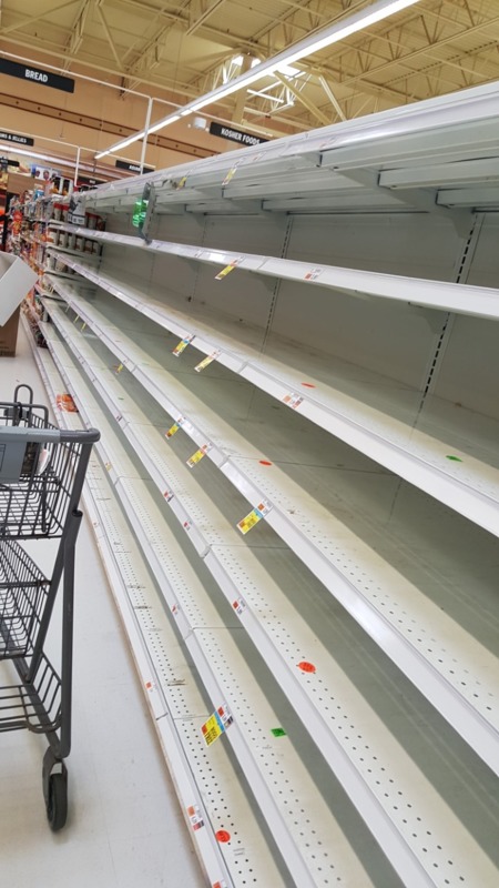 Empty shelves at a grocery store. 