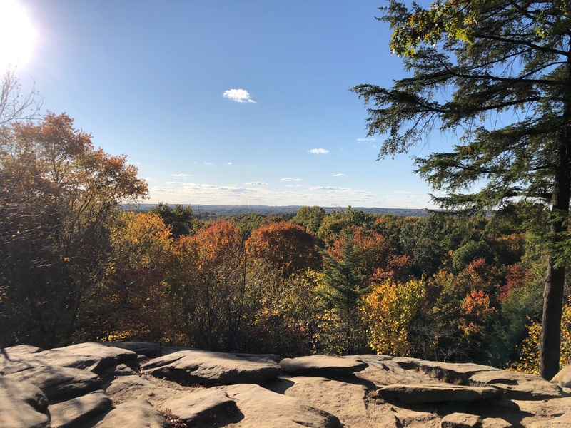 Sunny, rocky outcrop overlooking the forest.