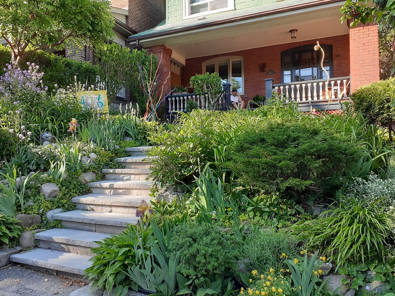 This is a picture of an extensive garden that has been grown in the front yard of a home. Steps in the middle of it lead up to a red brick house. 