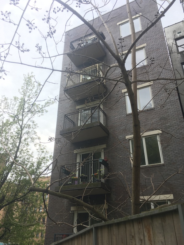 A tree without leaves in front of a small brick building.