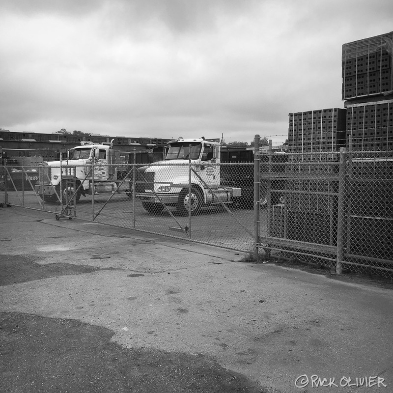 A fenced gate with construction trucks parked behind the gate. 