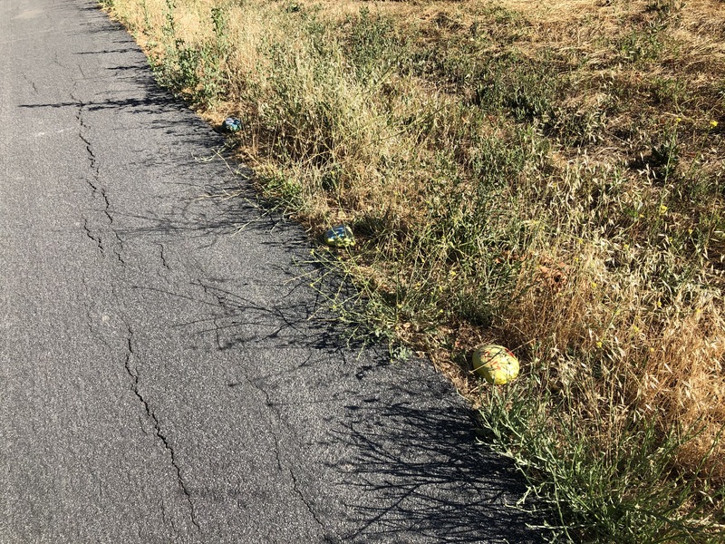 This is a picture taken of a painted rock on the side of a walking path.