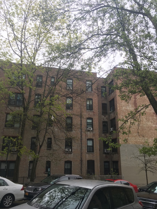 Trees and cars alongside a brick building.