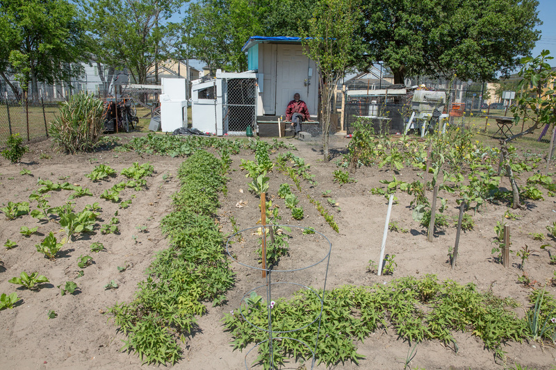 A garden with a person resting in the shade.