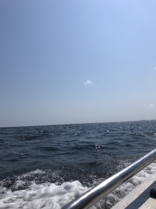 An open ocean under a blue sky. 