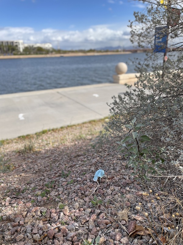 This is a picture of a discarded face mask sitting in the gravel near a sidewalk at the edge of a body of water. 