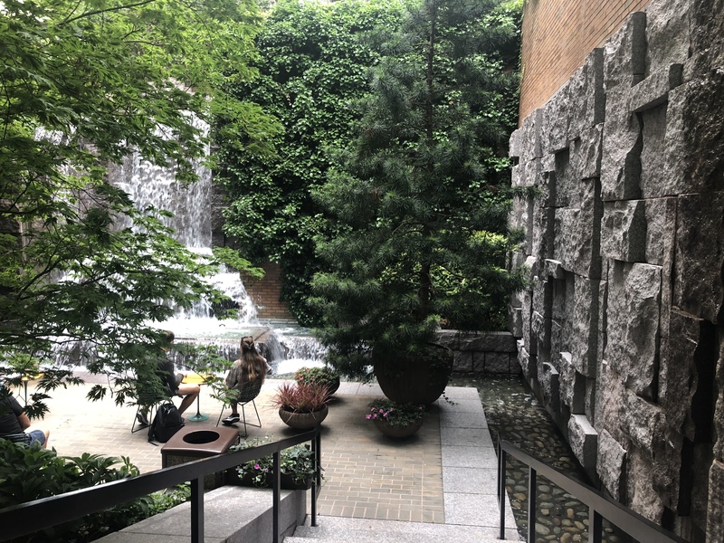 This is a picture of a walkway leading down into a very green public park. 