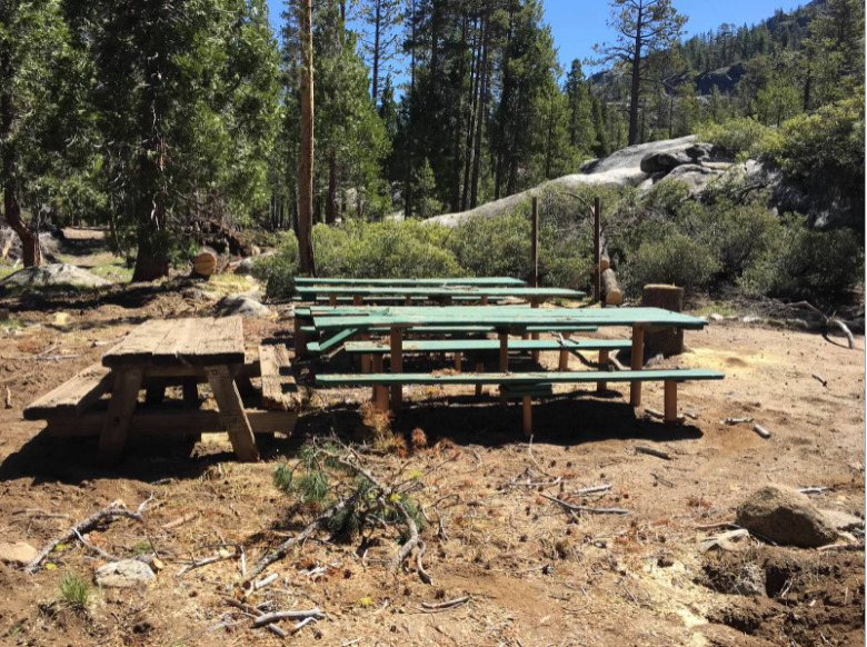 This is a picture taken of a few park benches in the middle of a forest. 