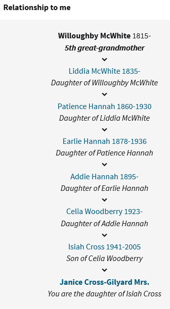 An eight tiered family tree.