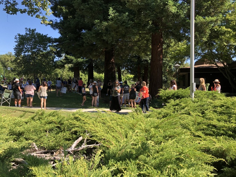 This is a picture taken of a group of people holding signs and protesting. Many are wearing face masks. 