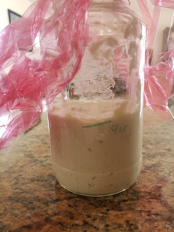 Photo of a Sourdough bread starter.