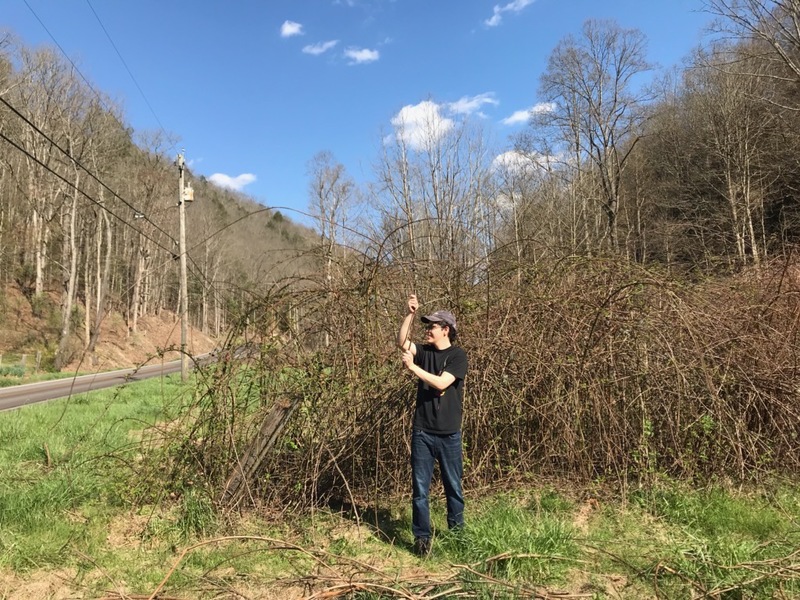 A man standing in front of dead branches. 