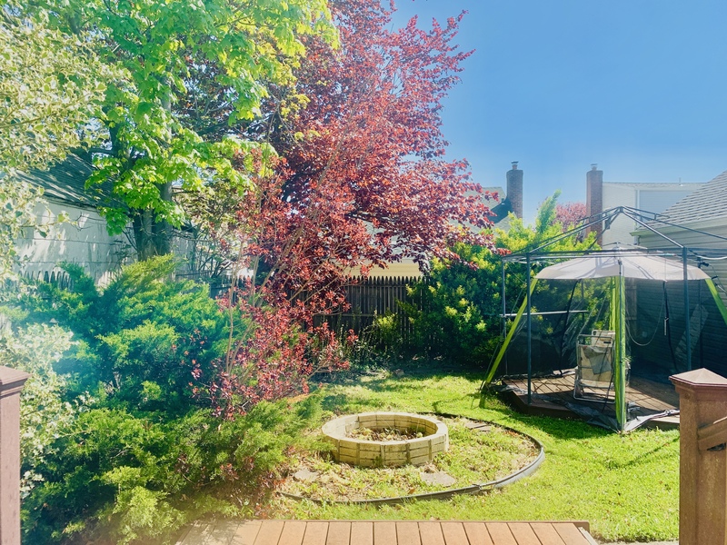 View of backyard wood patio. Foliage to the left with 3 trees; one with white flowers, one with red leaves, one with green leaves; and bushes along the side and back fence line. A inlay brick firepit filled with dirt across from another wood patio with 2 chairs with a mosquito net tent over the patio. 