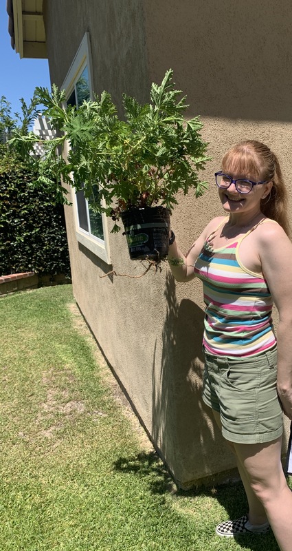 A feminine person holding a plant.