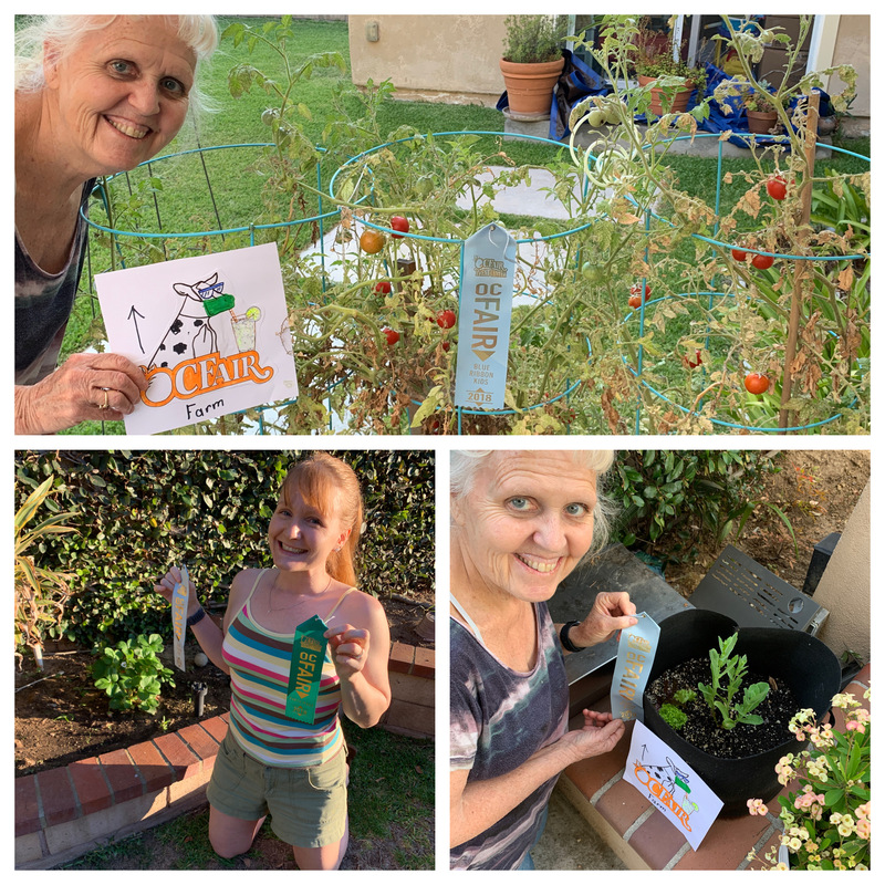 Women with award ribbons and plants.