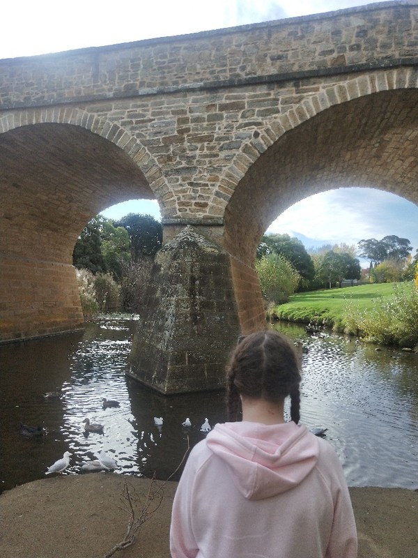 Image of a girl looking out into a body of water full of ducks on a sunny day.