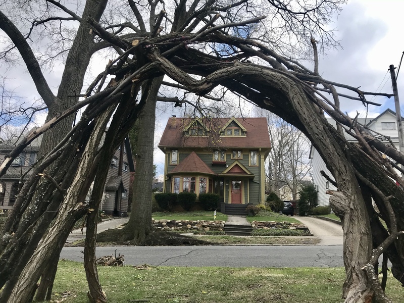 An archway made of tree branches. 