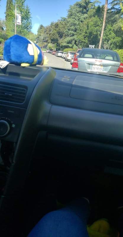 Image of a long line of cars waiting at a food bank.