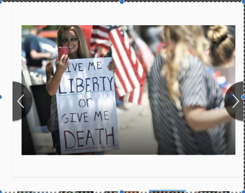 A person holding a phone and a protest sign. 