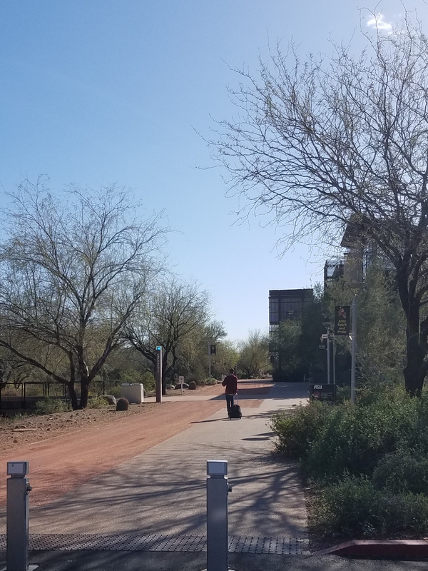 A student is rolling a backpack behind them while they walk down a brick path on a college campus. 