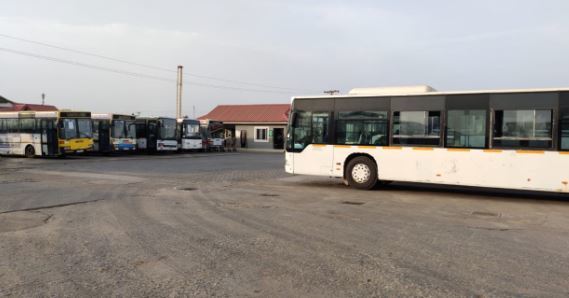 Multiple buses in a parking lot. 