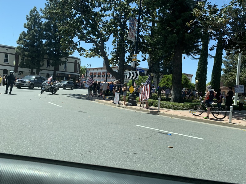 People holding flags gathering underneath a tree.