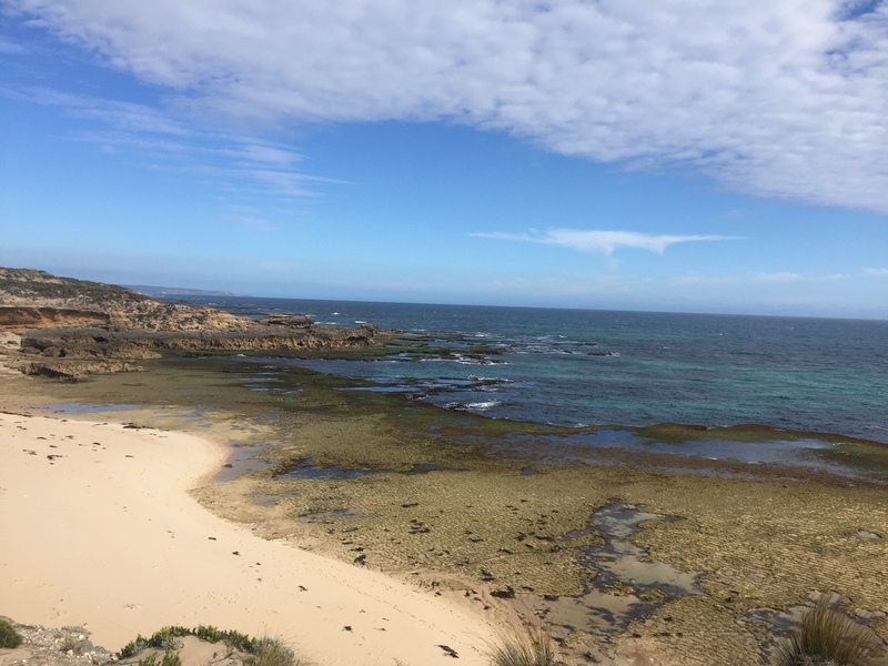 This is a picture taken of a sandy and rocky beach, and the ocean beyond it. 