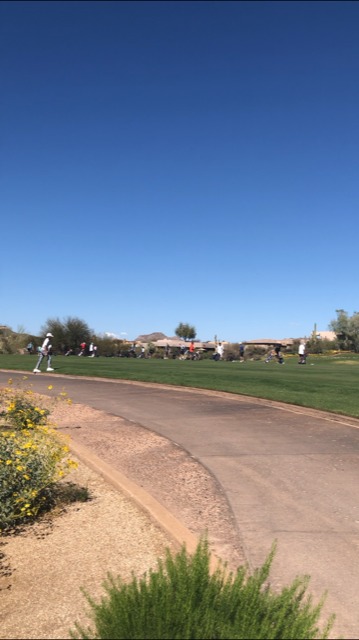 a group of people playing gold in the foreground 