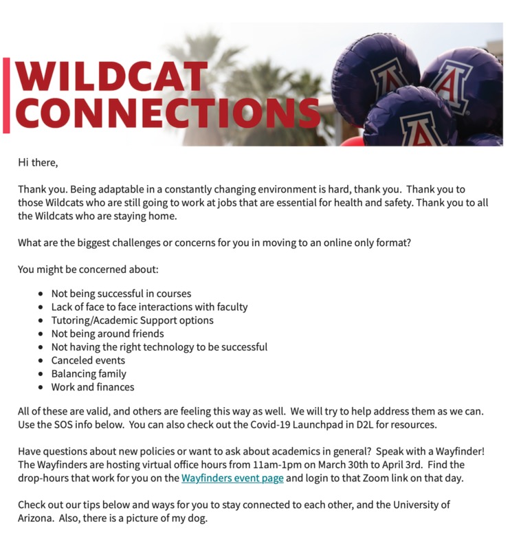 University of Arizona email titled, "Wildcat Connections." Summary of text in email screenshot discusses concerns of shifting to an online platform, validation of concerns, and ways in which to contact the university with further questions or concerns. Email concludes with text, "Check out our tips below and ways for you to stay connected to each other, and the University of Arizona. Also, there is a picture of my dog." Picture of the dog is not in email screenshot. 