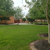 Green grass that has trees surrounding it. Beyond the grass is sidewalks leading up to a building. The area is completely empty. 