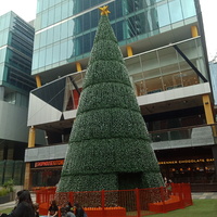 Picture of a large Christmas tree set up in front of several businesses. 