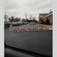 Photo of a long line at the bank. 