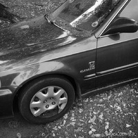 A car covered in pollen on the side of a street. 