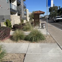 This is a picture taken of a face mask which has been discarded in the gravel by a bus stop. An apartment building and residential street can be seen in the background. 