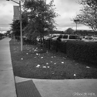 Grass that is on the other side of a parking that is covered in trash. 