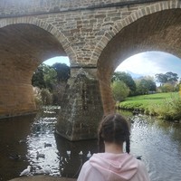 Image of a girl looking out into a body of water full of ducks on a sunny day.