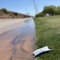 This is a picture of a face mask that has been discarded near a walkway in the grass. 