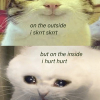 Meme image of two cats; one picture is on the top, and the second picture is on the bottom. The cat on the top has wide eyes and smile.  Text reads, "on the outside I skrrt skrrt".  The cat on the bottom has teary eyes and an open mouth.  Text reads, "but on the inside I hurt hurt".